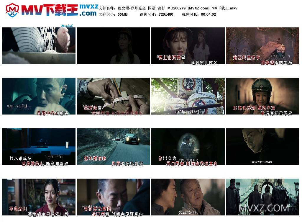 魏允熙-岁月鎏金_国语_流行_MD206279